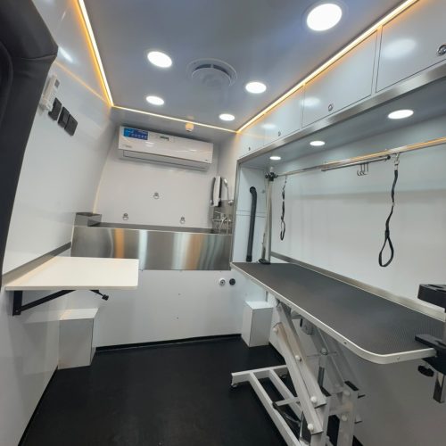 pet grooming pet mobile (10)